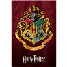 Plakát Harry Potter - Bradavická škola čar a kouzel